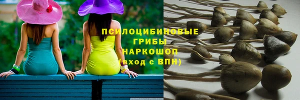 гидропоника Алексеевка