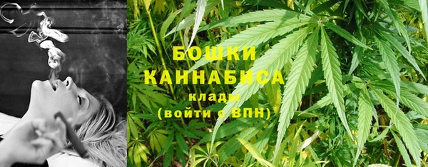 PSILOCYBIN Алзамай