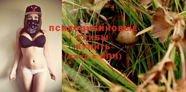 PSILOCYBIN Алзамай