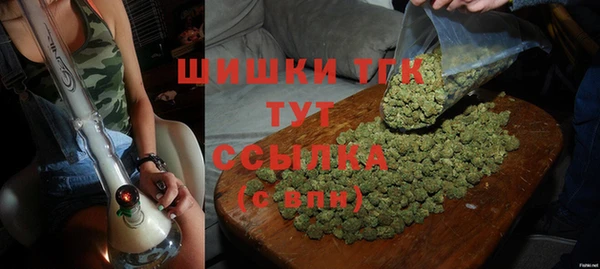 PSILOCYBIN Алзамай