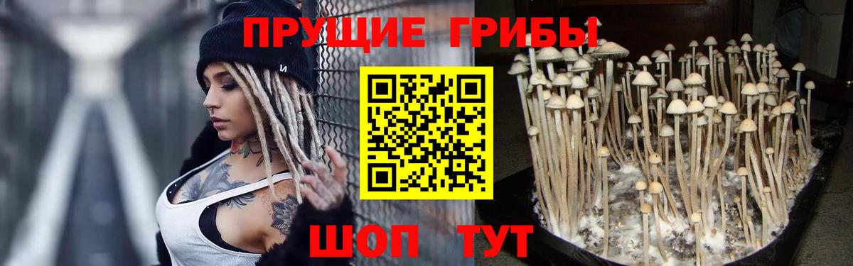 Галлюциногенные грибы мицелий Биробиджан